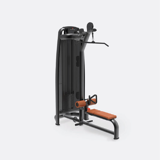 Lat Pull Down/Low Row Machine